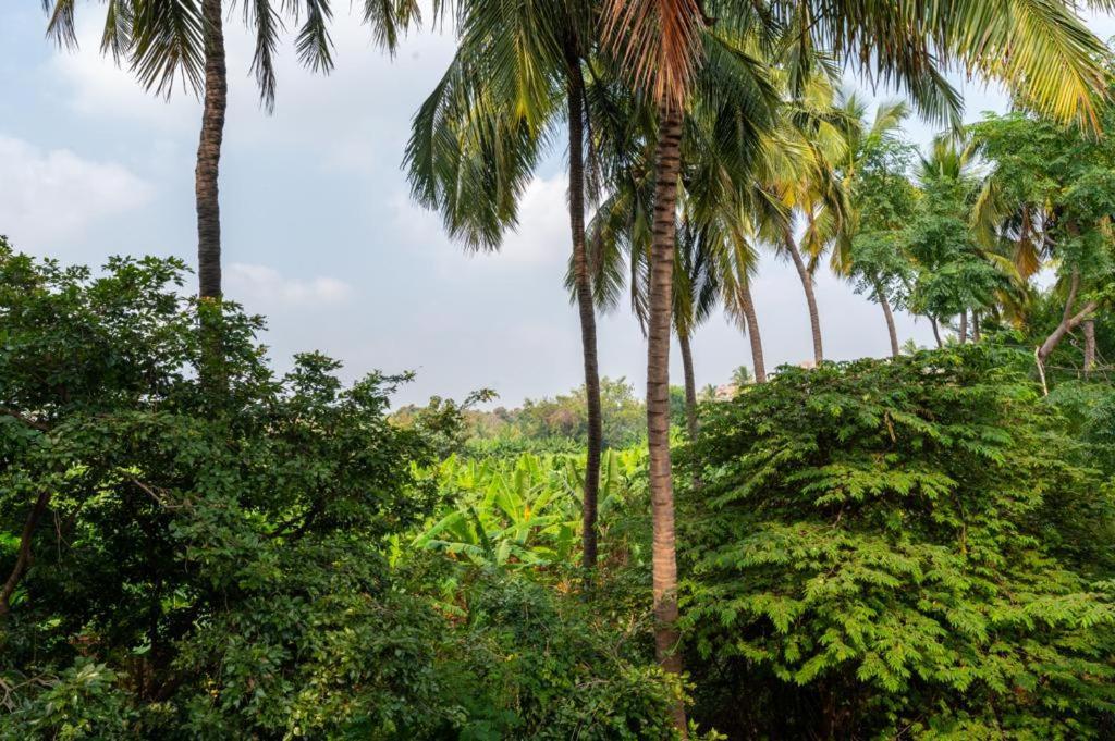 Saptami Hampi Homestay Exteriör bild